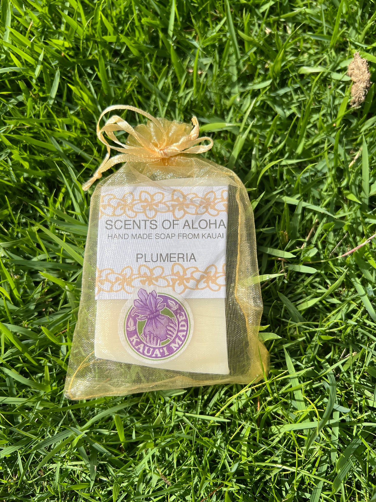 Plumeria Scented Soap